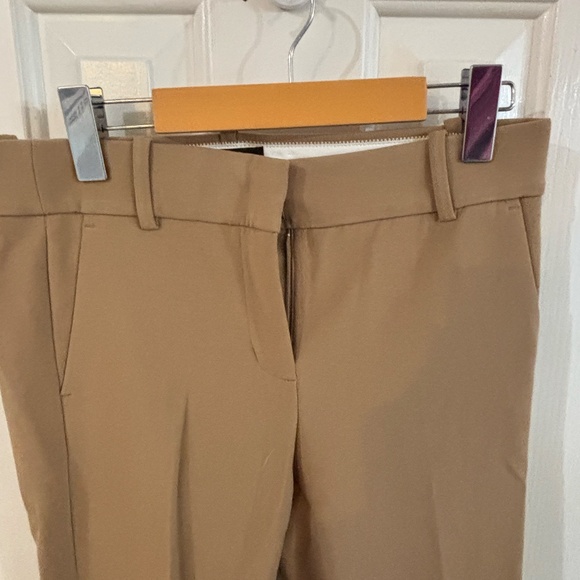 J.Crew work pants 365 tan - Cameron style - Picture 4 of 5